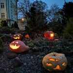Projektas ,,80 oranžinių liepsnelių“, skirtas mokyklos jubiliejui Projektas ,,80 oranžinių liepsnelių“, skirtas mokyklos jubiliejui